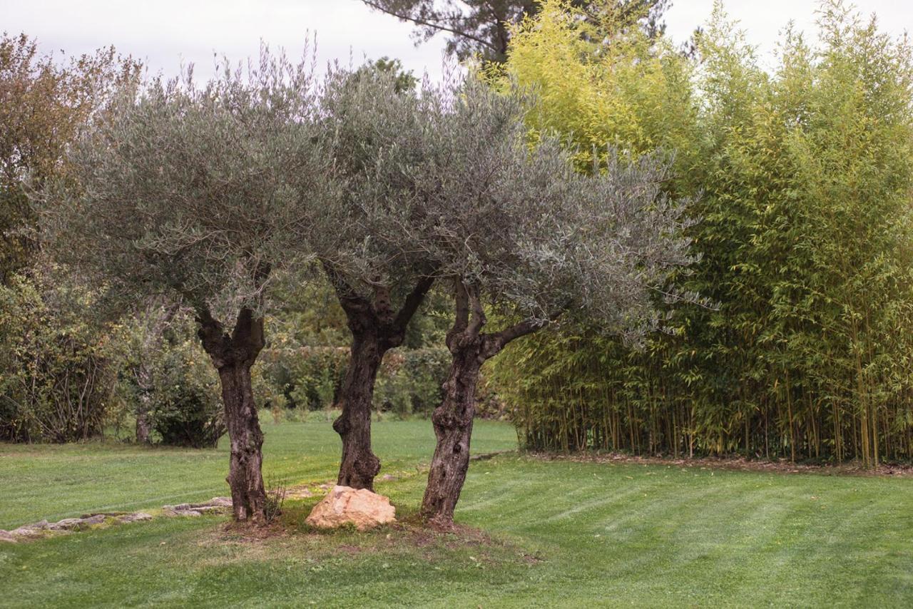 Jardines Pazo A Fabrica Guest House Селанова Екстериор снимка